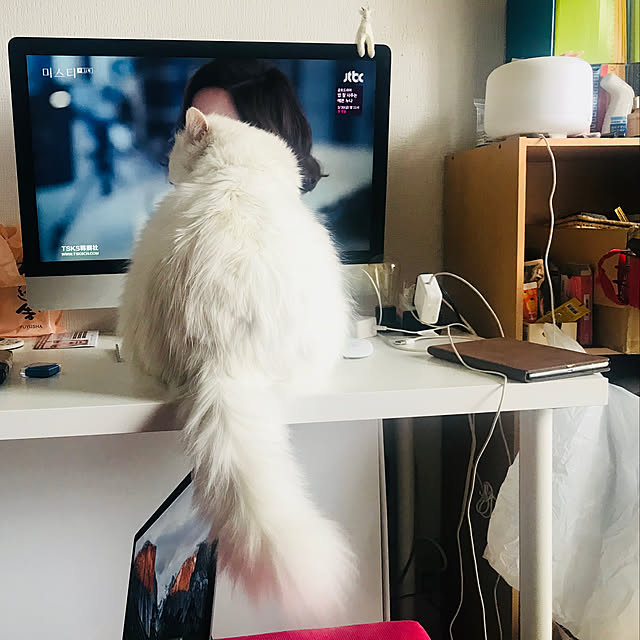 Peikieさんの実例写真