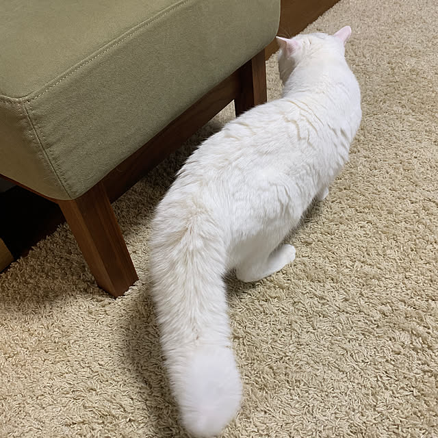keiさんの実例写真