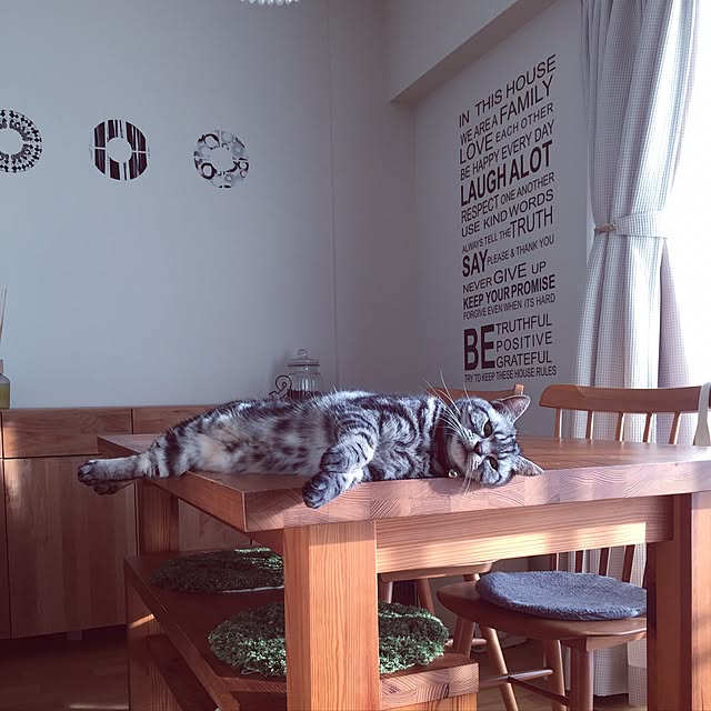 hiyupan88さんの実例写真