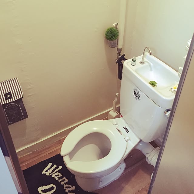 momoirousagiさんの実例写真