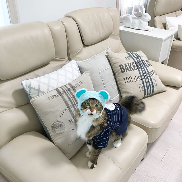 yuchiさんの実例写真