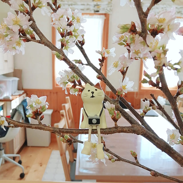 satosanさんの実例写真