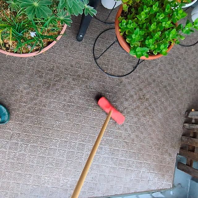 mi-saさんの部屋