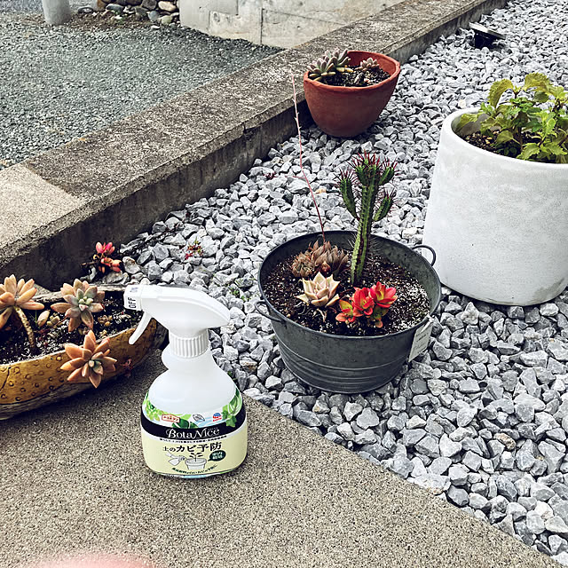 KOHAREさんの部屋