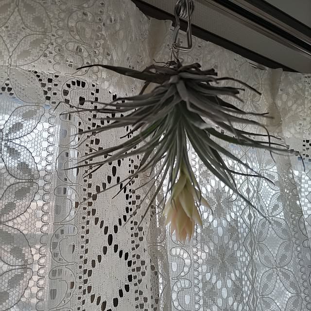 Maroさんの部屋