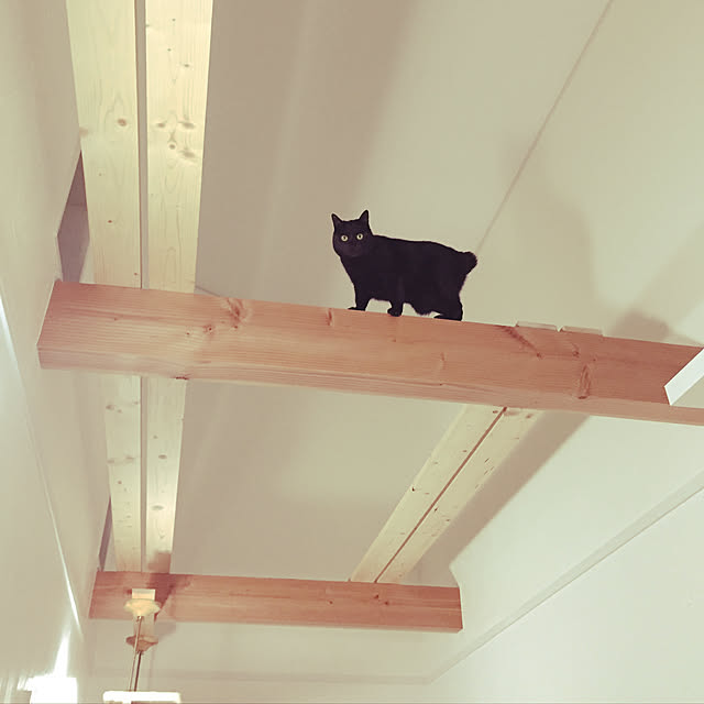 youri1213さんの実例写真