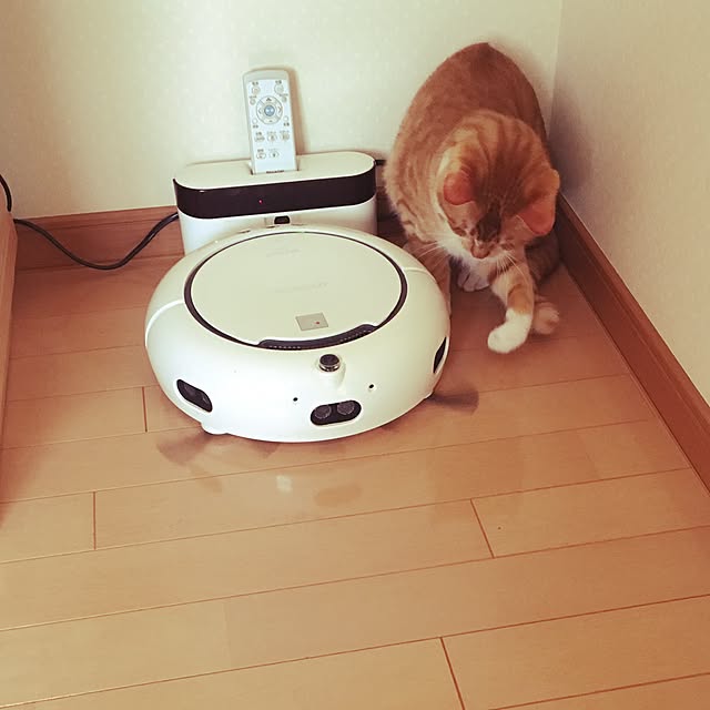 baronkotarouさんの実例写真