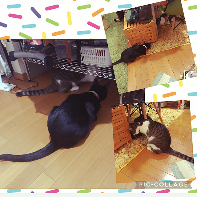 jijiさんの実例写真