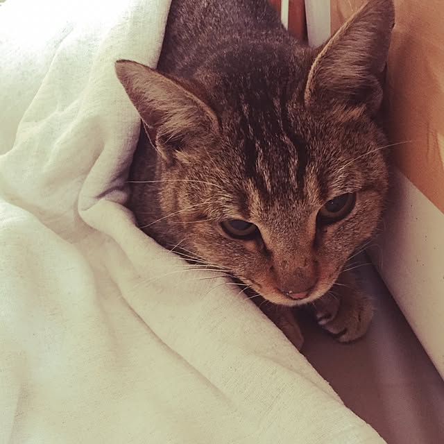 lifeさんの実例写真