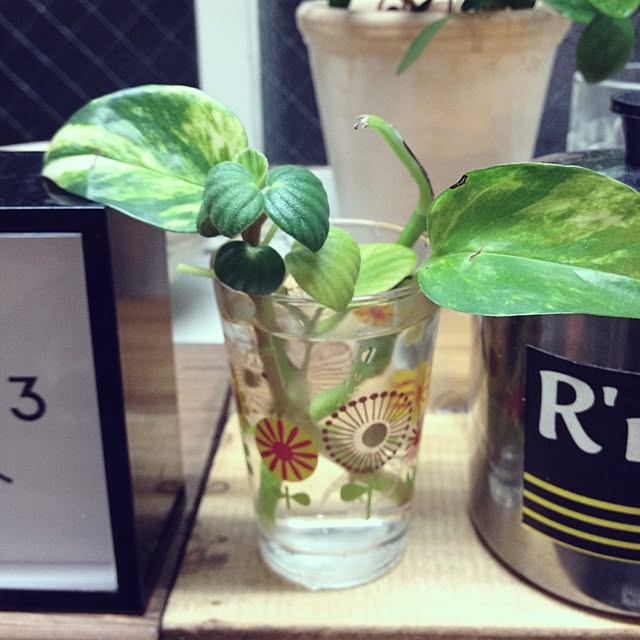 botanさんの実例写真