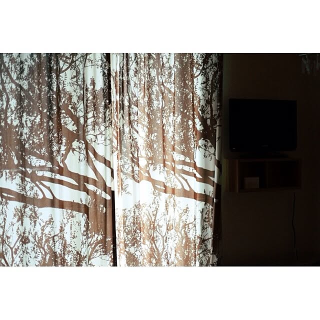 usaginohaijiさんの実例写真