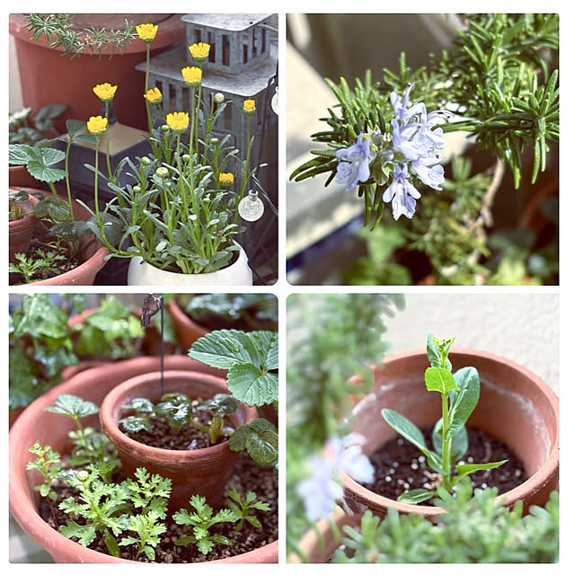 madamkaoriさんの部屋