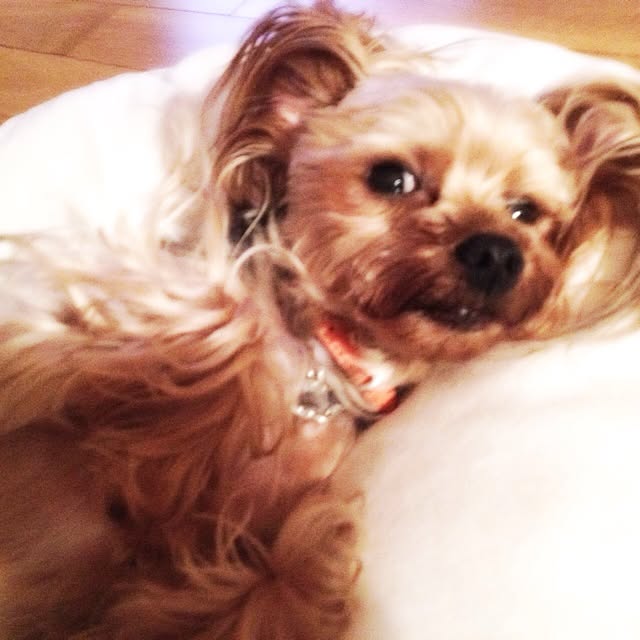 popiさんの実例写真