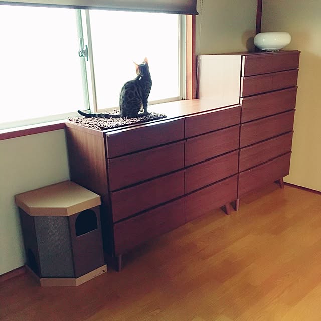 anさんの実例写真