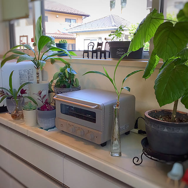 houenさんの部屋