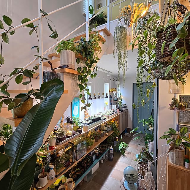 nonbiri_house_さんの部屋