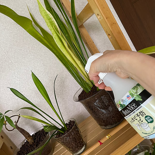 kikiさんの実例写真