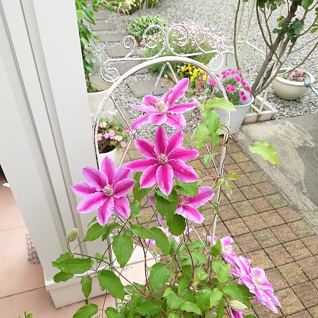 fleur-mamanさんの実例写真