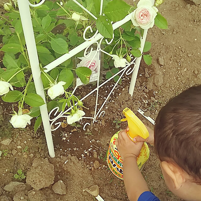 sunflowerさんの実例写真