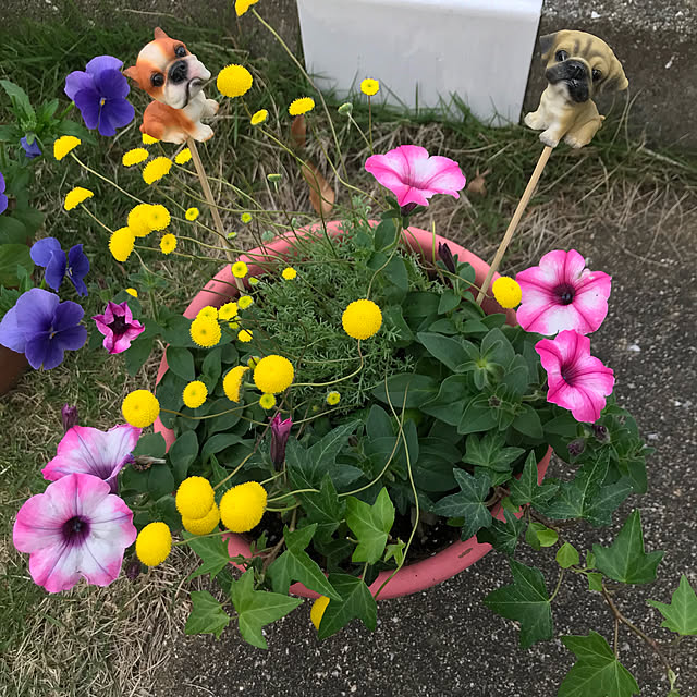 emikoさんの実例写真