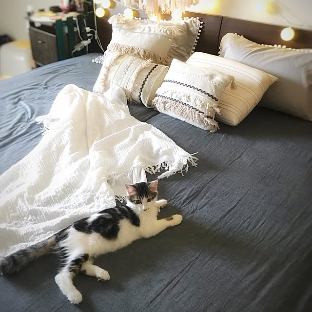 1633さんの実例写真