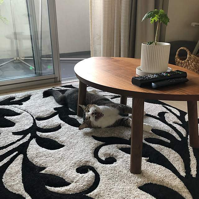nekomiさんの実例写真