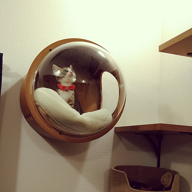 mochicoさんの実例写真