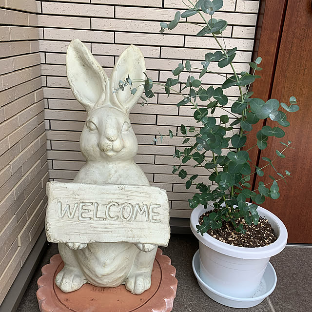 junさんの実例写真