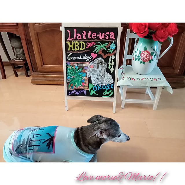 moruさんの部屋