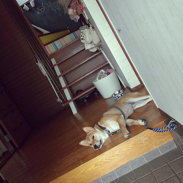 実例写真