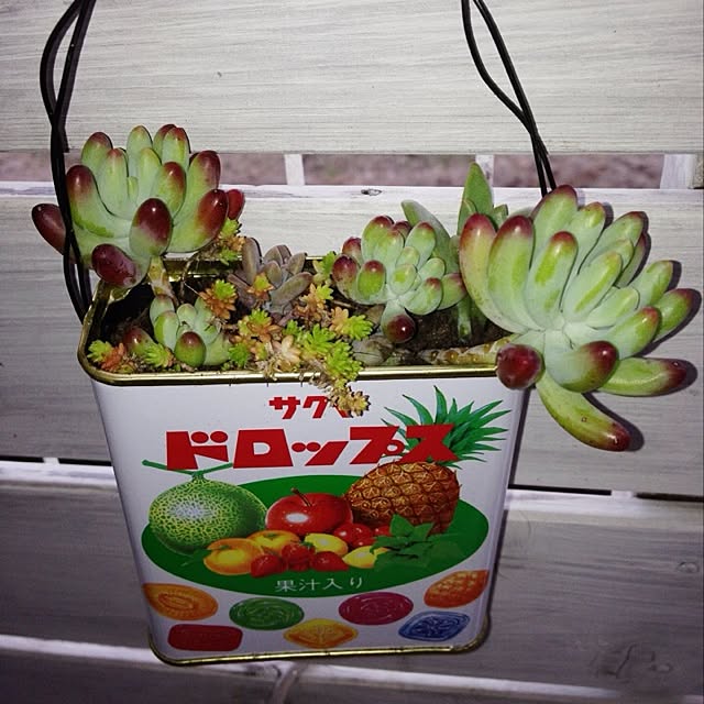 yuukaさんの実例写真
