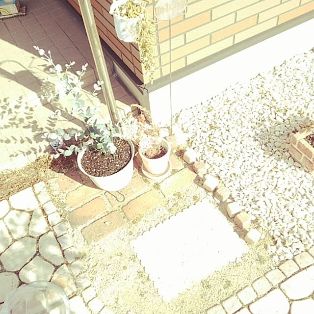 miiさんの実例写真