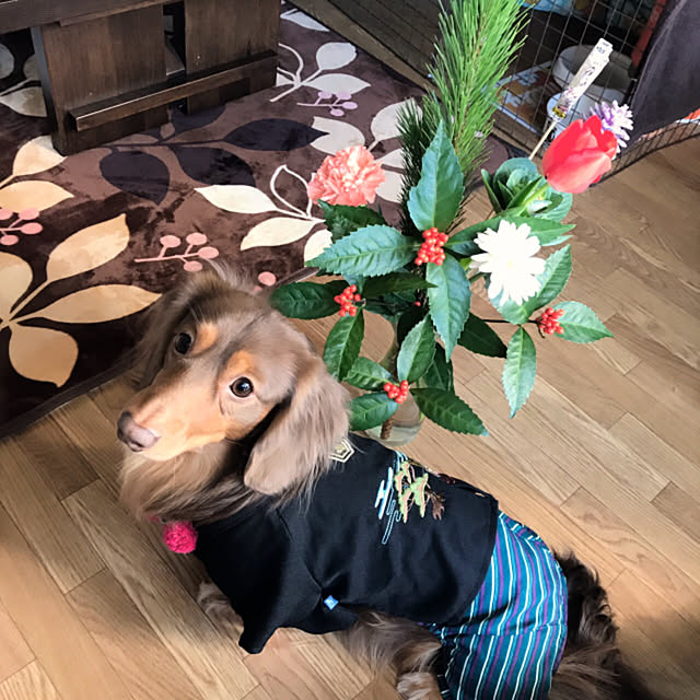 miko315105さんの実例写真