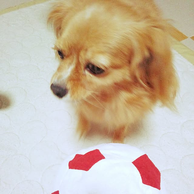 NATTUさんの実例写真