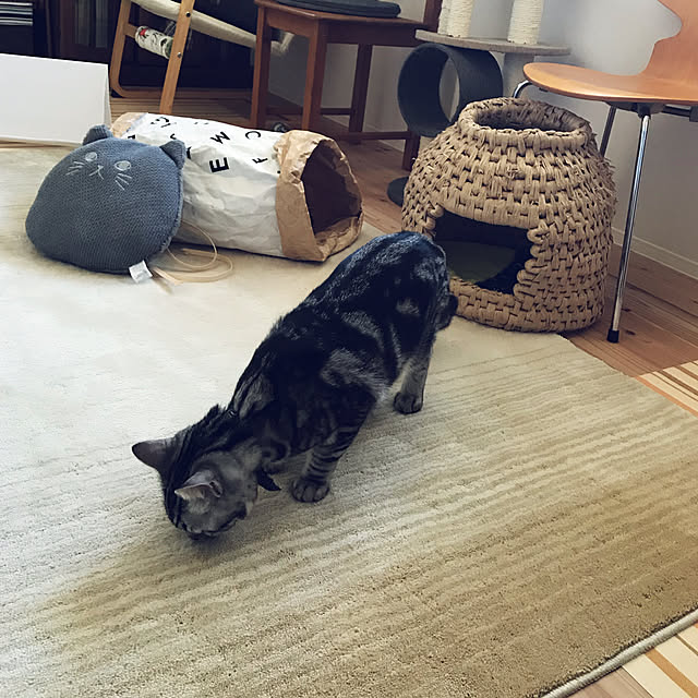 mkmkmoominさんの実例写真