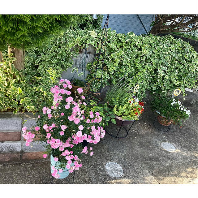 CoCo0617さんの部屋