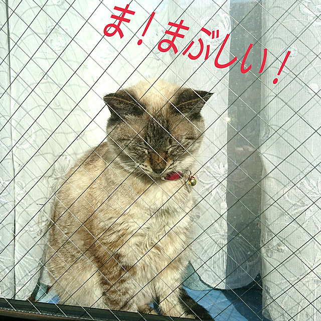 bonobono54さんの実例写真
