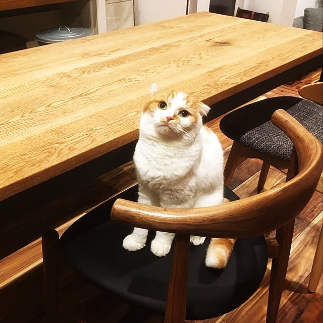 shir0さんの実例写真