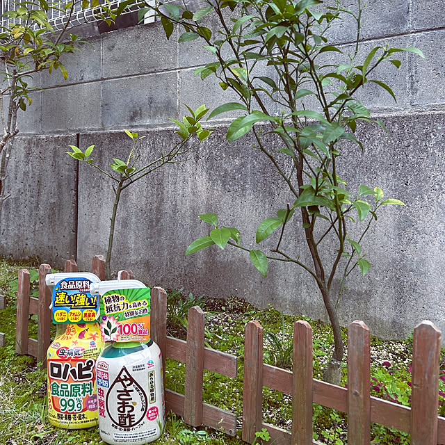 haruさんの実例写真