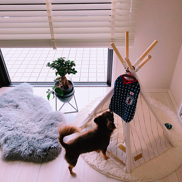 M.H.Lさんの実例写真