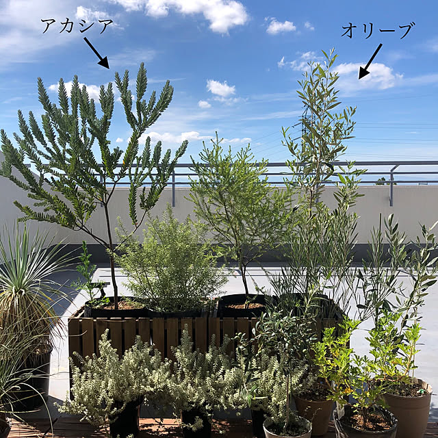tomokoさんの実例写真