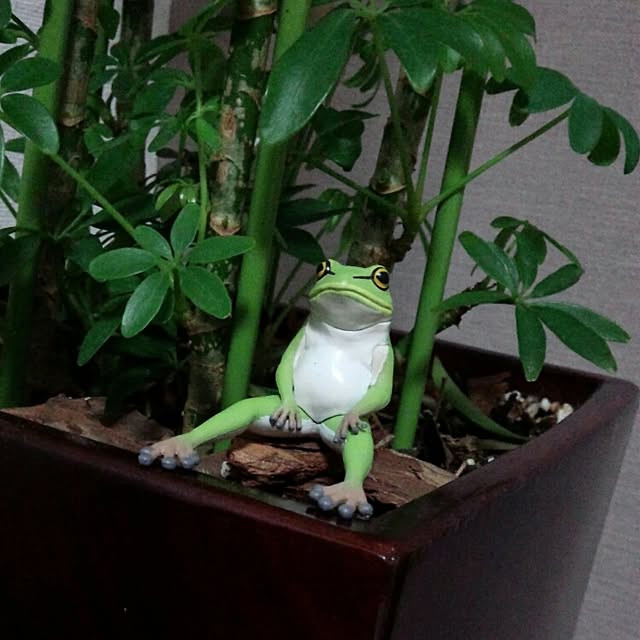 hattiさんの実例写真