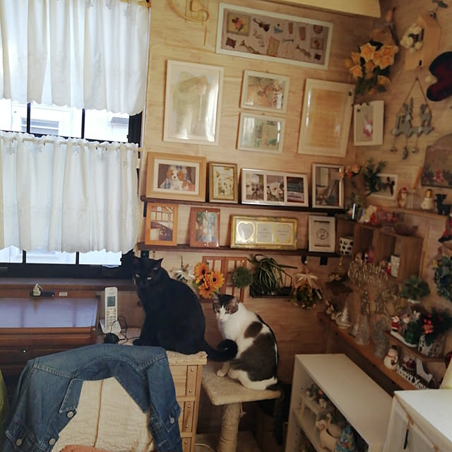 Tomopさんの実例写真