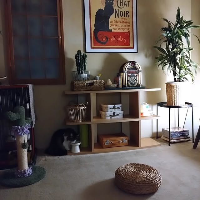 CHIKAさんの部屋