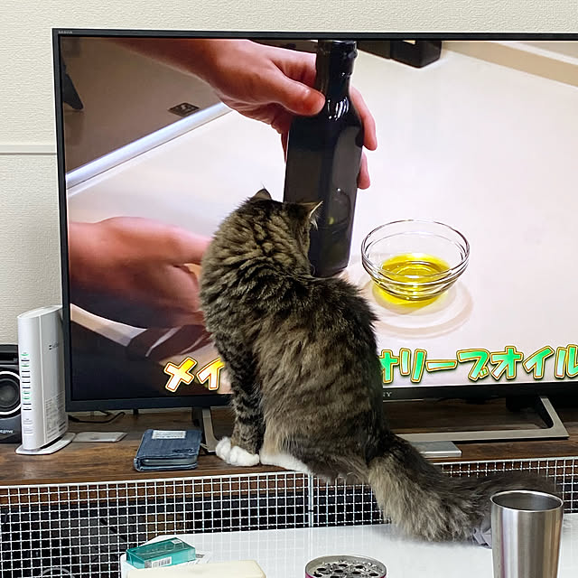 sh.0514さんの実例写真