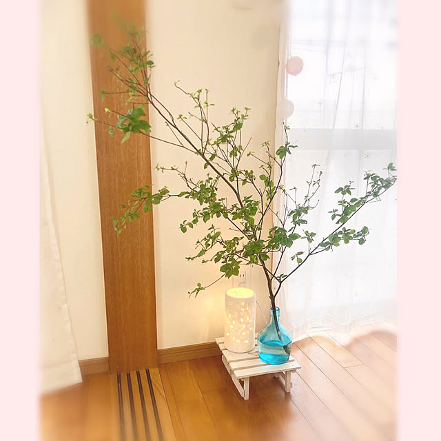 hatsu.0202さんの実例写真