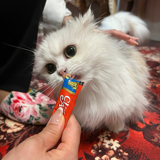 AYUKOさんの実例写真