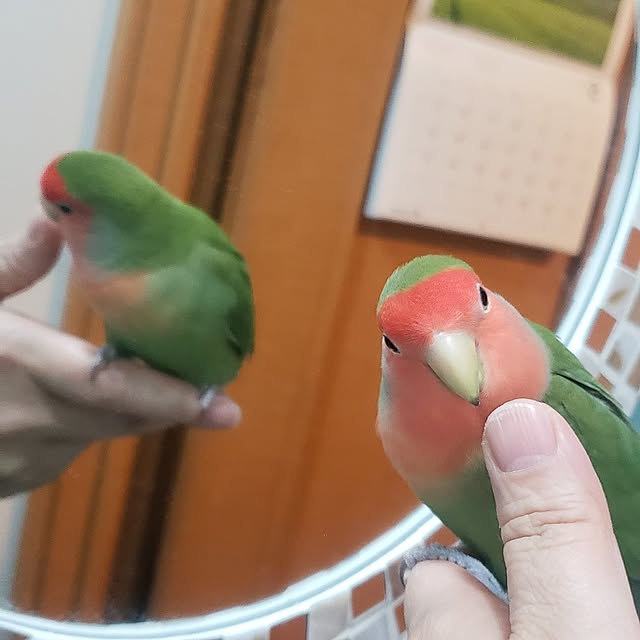 tukichanさんの部屋