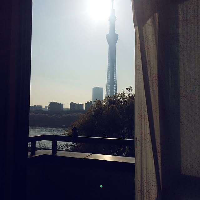 wanarchyさんの実例写真