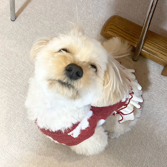 chachamamaさんの部屋